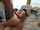 please who is she ? or where i can find this video ?