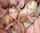 teen bangbros