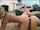 oral sex hd masturbation