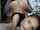 booty masturbate teenager