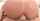 anal hardcore