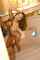 What's the name of this porn star?