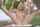 shaved teen
