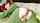 chaturbate chubby tight