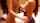 What's the name of this porn star?