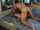 Videos where girl and guy just lay down after