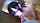 jav japanese