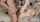 blond couple chaturbate