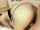jav big boobs japonesa