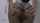 What's the name of this porn star?