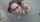 What's the name of this porn star?