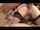 Lexu Bellie FULL Vid