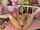 teenager masturbate adult toys