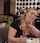 What's the name of this porn star?
