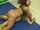 femdom chubby couple