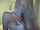 camgirl teen
