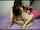 couple ass fuck teenager