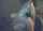 camgirl teen