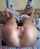 name or video please
