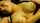 What's the name of this porn star?