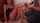 21sextury babesnetwork
