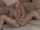 What's the name of this porn star?