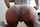 What's the name of this porn star?