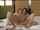 girl on girl teenager hd