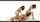 fantasyhd