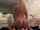 adult toys teenager big ass