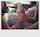 Where can I find this video?