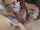 teenager girl on girl family