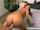 What's the name of this porn star?