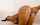 What's the name of this porn star?