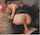 What's the name of this porn star?