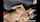 lesbian webcam