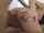 couple blowjob oral sex