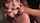 Name of the girls and which site it comes from