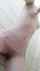 What's the name of this porn star?