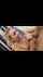 What's the name of this porn star?