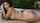 What's the name of this porn star?