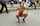 nude public