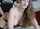 What's the name of this porn star?