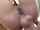 bangbros anal