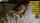 What's the name of this porn star?