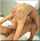 Whats the name of this video or paste the link pls