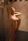 What's the name of this porn star?