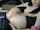 oral sex amateur masturbation