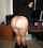 What's the name of this porn star?