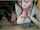tiny